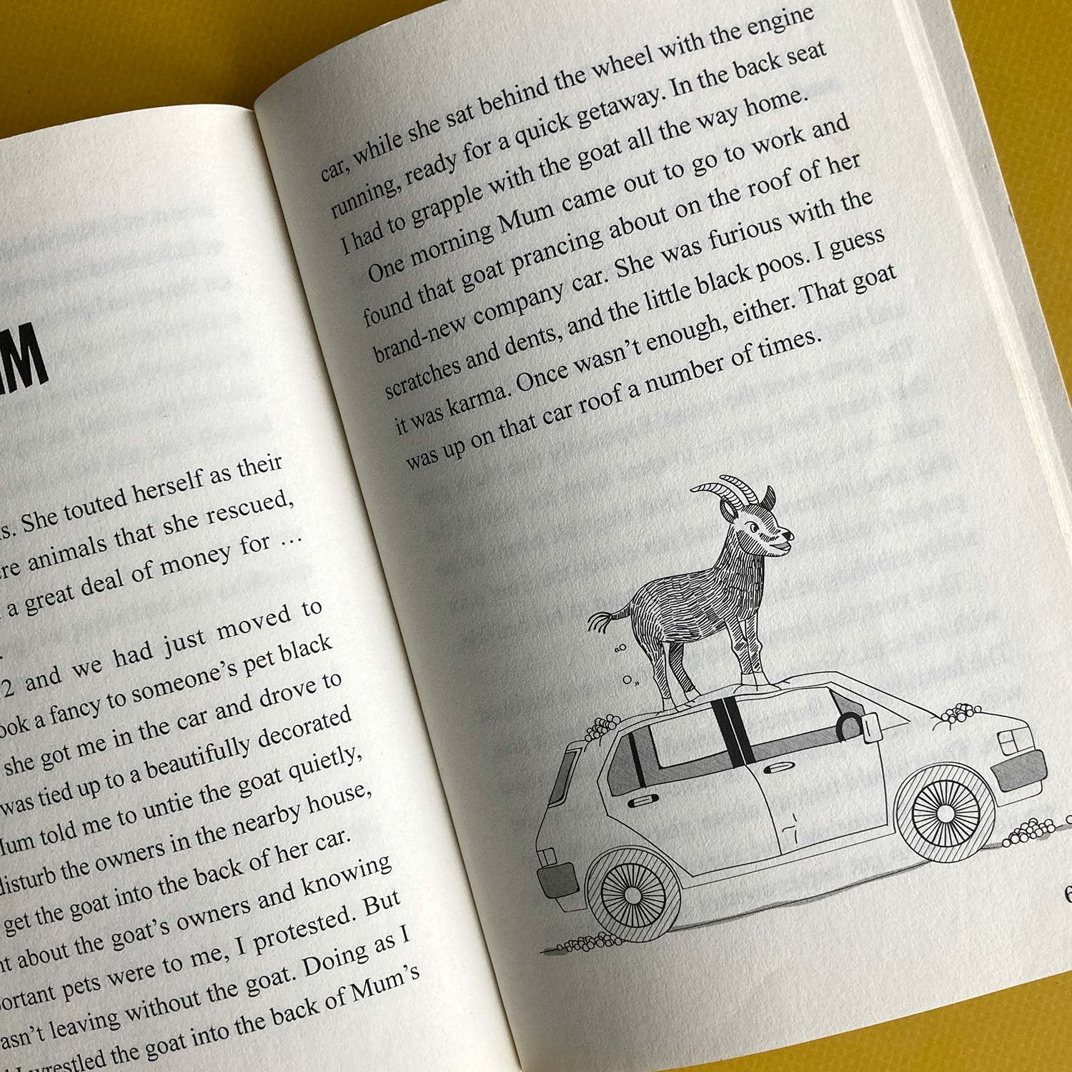 Photo of the book: a goat standing on top of a dented car